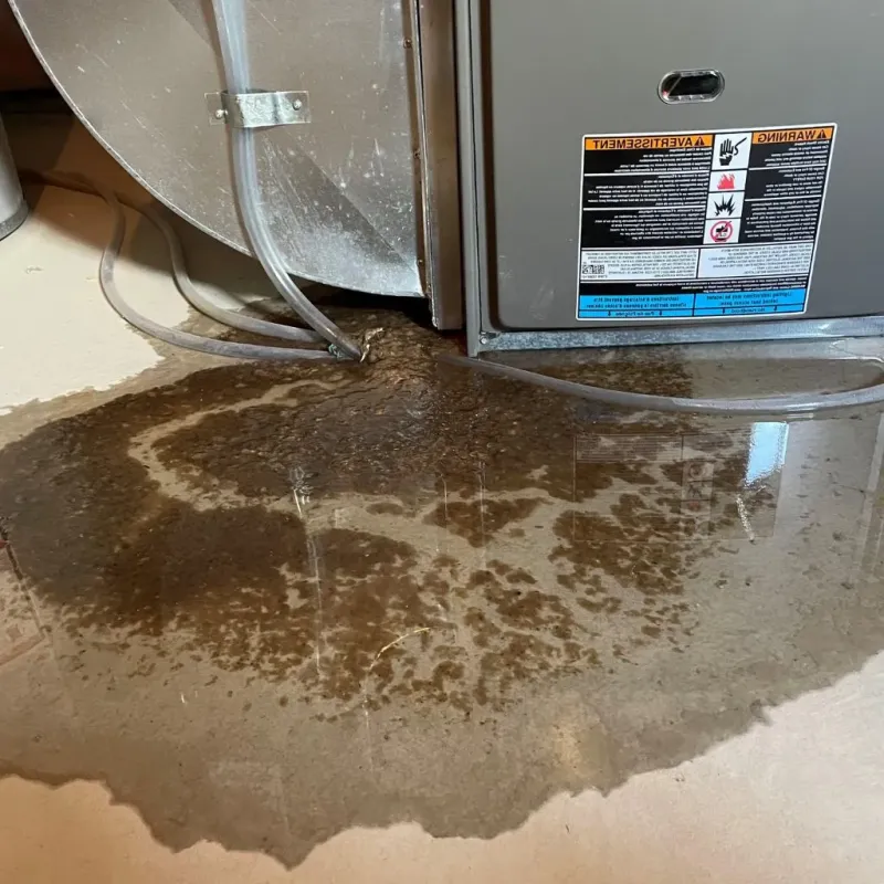 Pipe Burst and Leak Restoration in Winchendon, MA